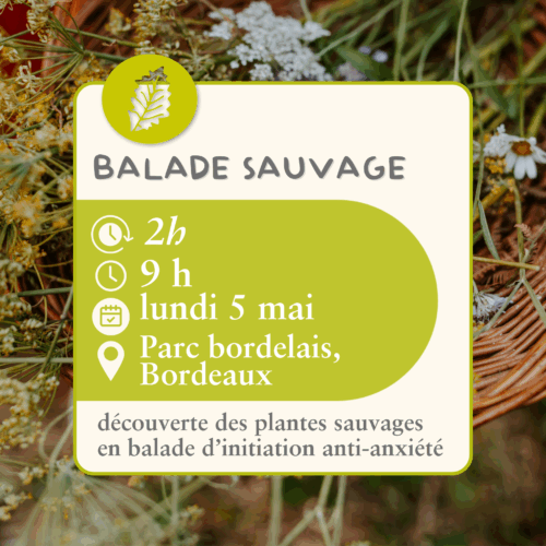 Balade sauvage  -  5 mai