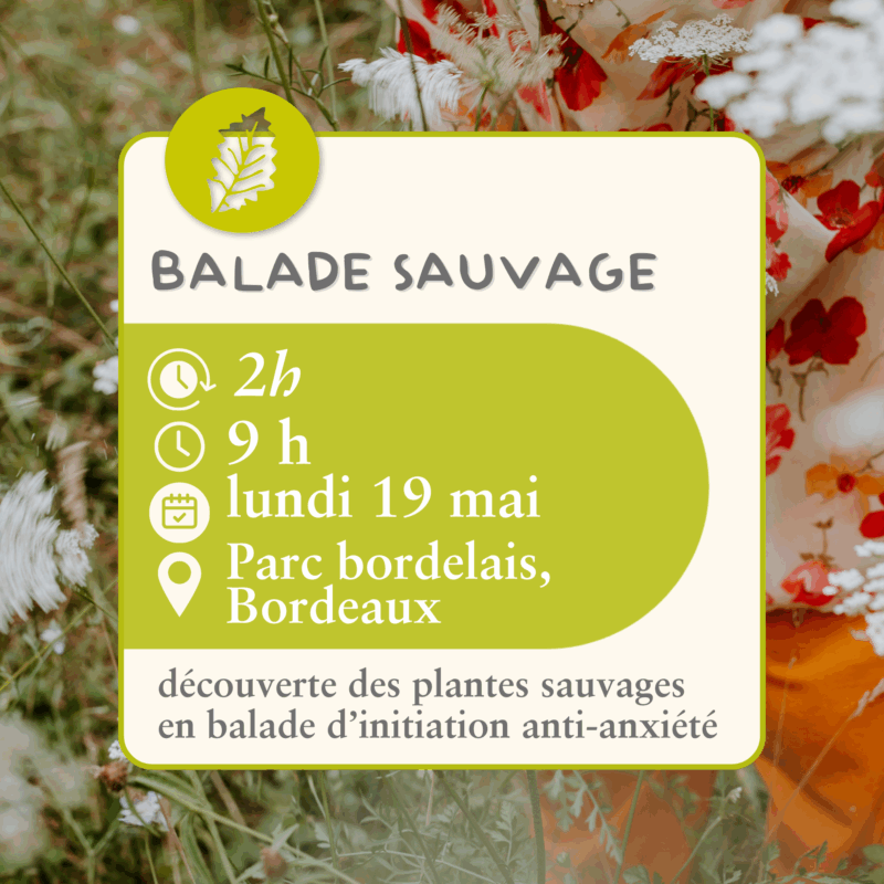 Balade sauvage  -  19 mai