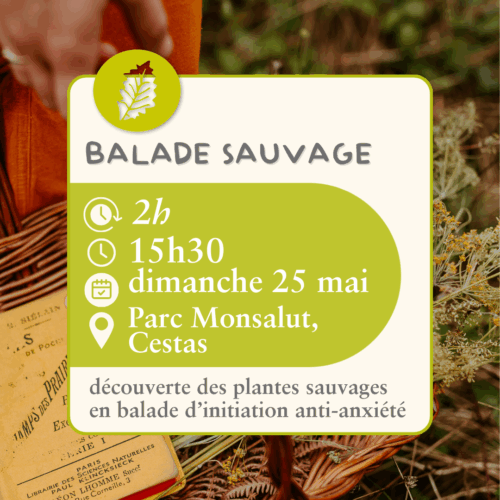 Balade sauvage  - 25 mai