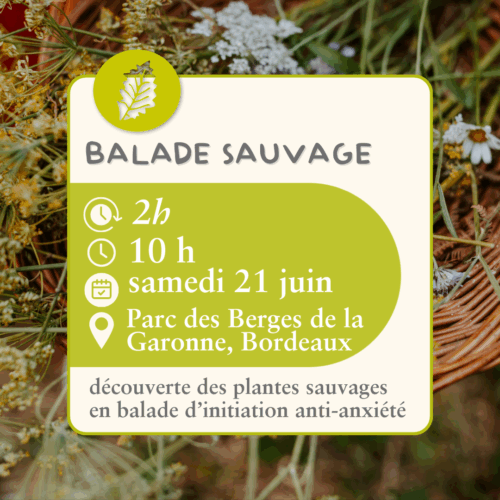 Balade sauvage  - 21 juin