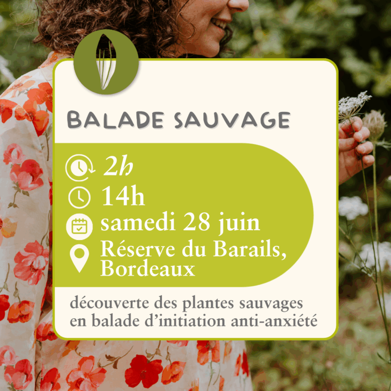Balade sauvage  - 28 juin