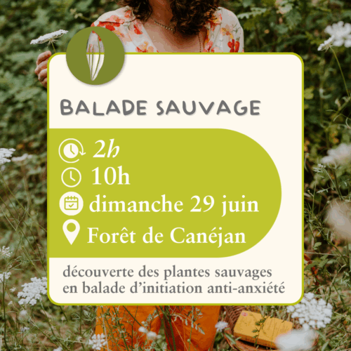 Balade sauvage  - 29 juin
