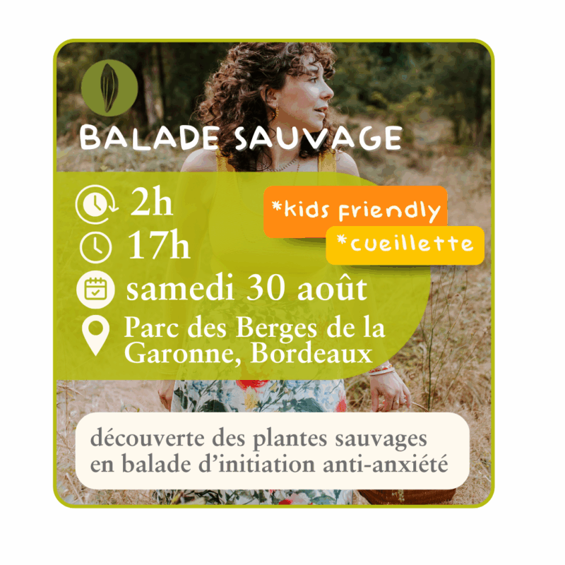 Balade sauvage  - 30 août - kid's frendly