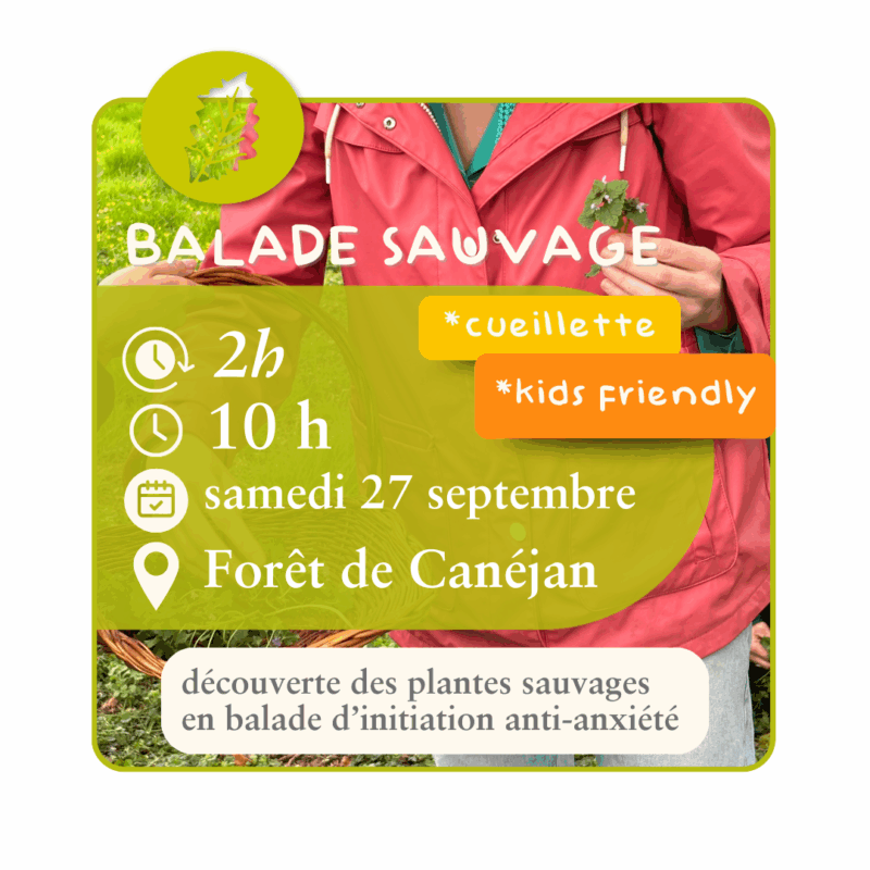 Balade sauvage  - 27 septembre - cueillette