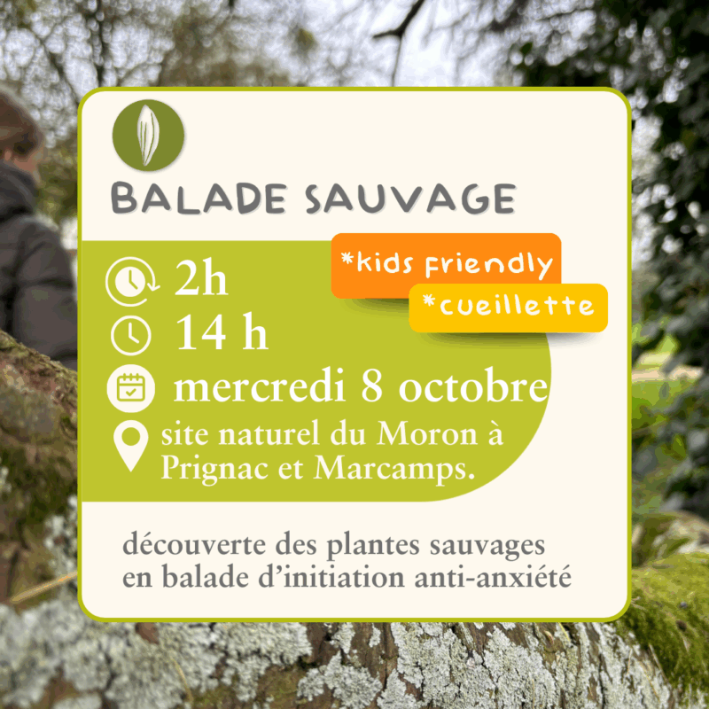 Balade sauvage  - 8 octobre - kid's firendly