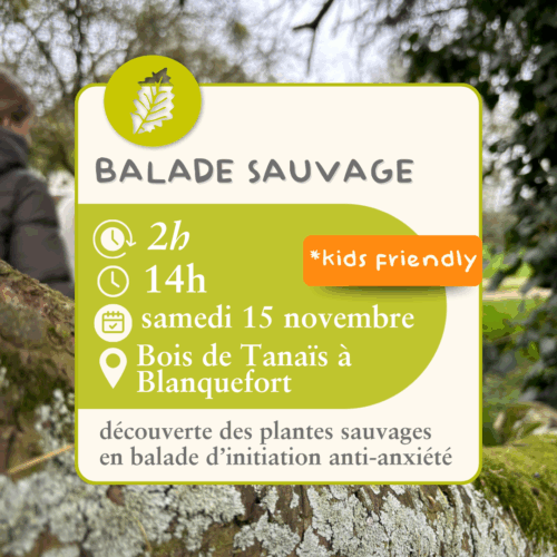 Balade sauvage  -15 novembre