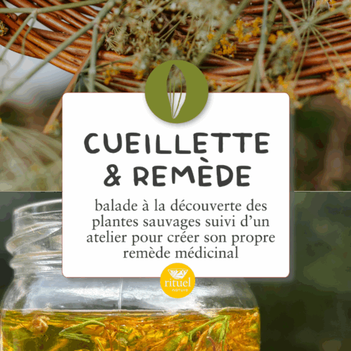 cueillette & remède - 29 novembre