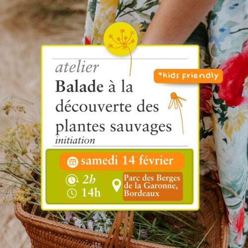 Balade Sauvage - 14 février