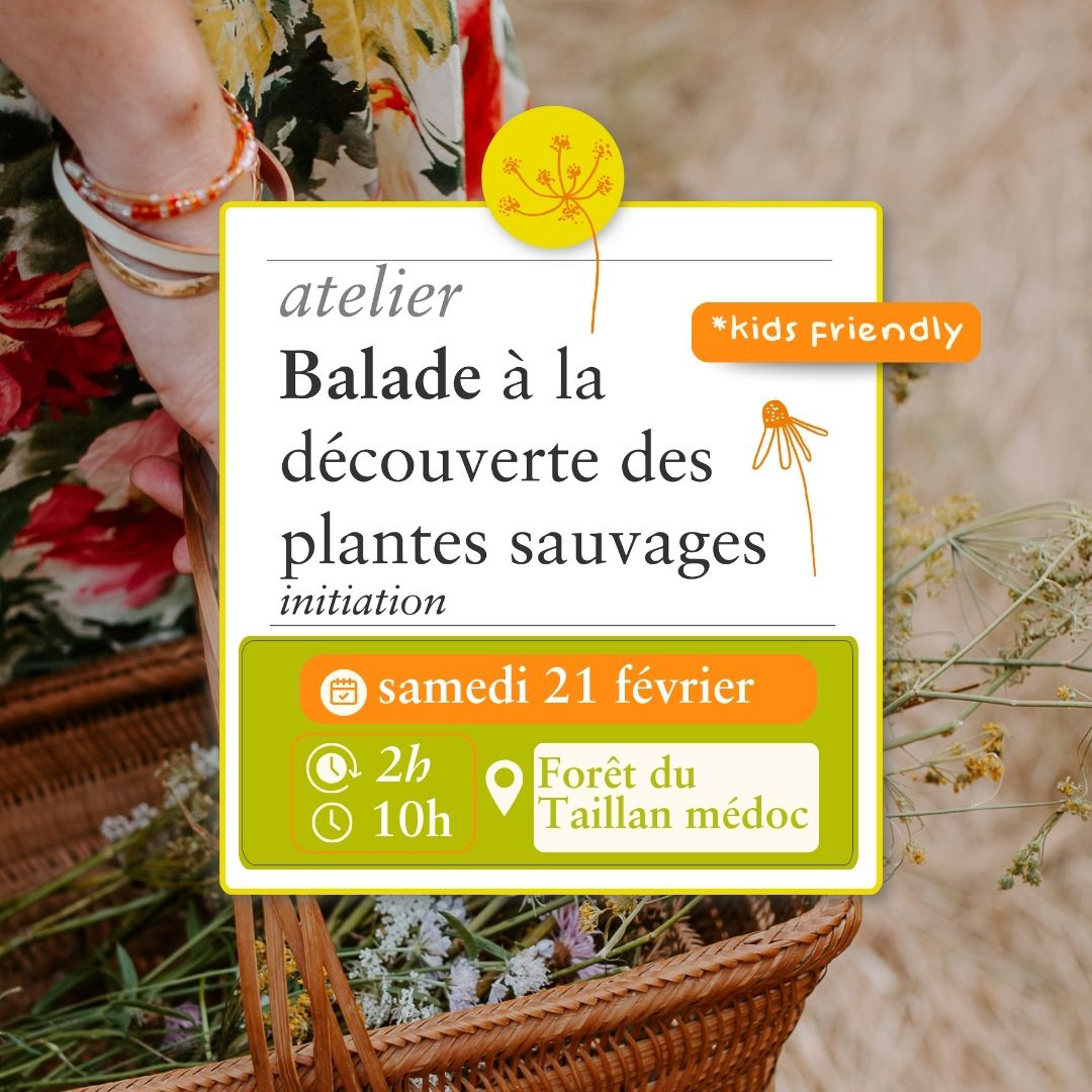 Balade Sauvage - 21 février