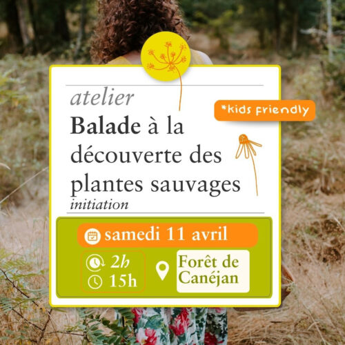 Balade Sauvage - 11 avril