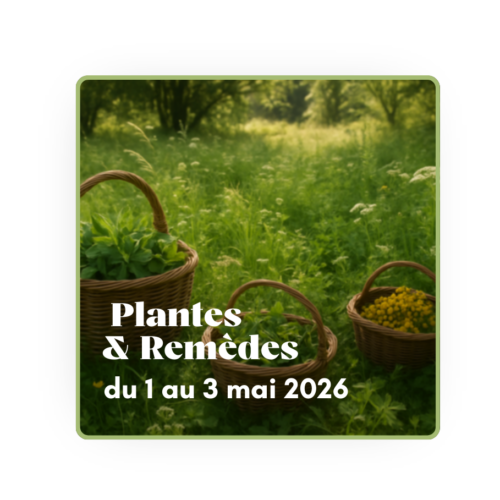 Séjour plantes & remède - mai 2026