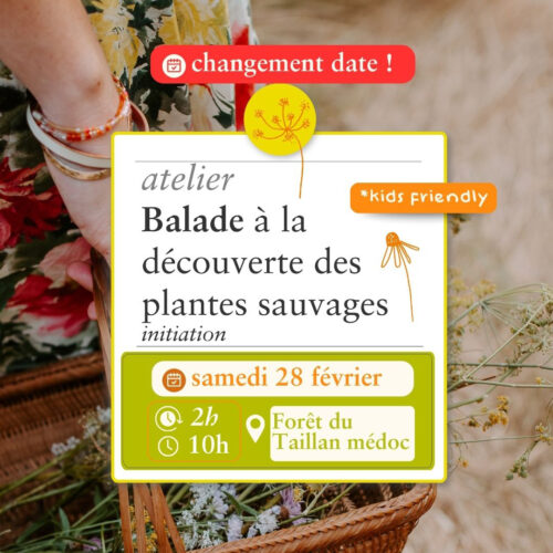 Balade Sauvage - 28 février