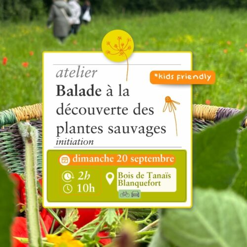 Balade Sauvage - 20 septembre