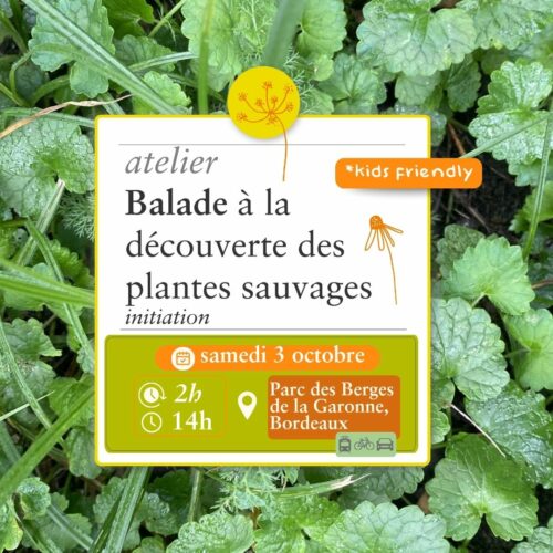 Balade Sauvage - 3 octobre