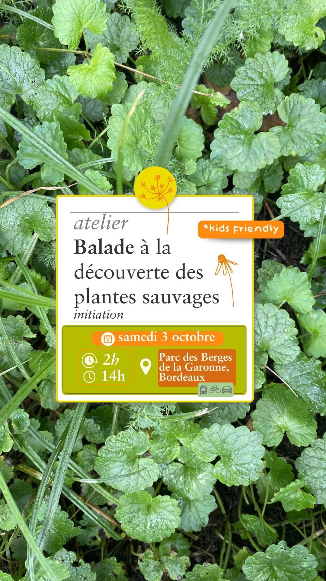 Balade Sauvage - 3 octobre
