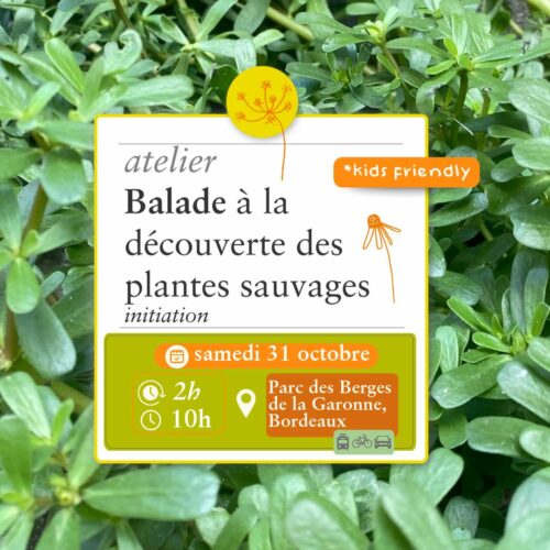 Balade Sauvage - 31 octobre